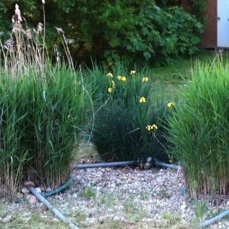 Appartement Neuf & Ecologique A La Campagne Marzens Bagian luar foto