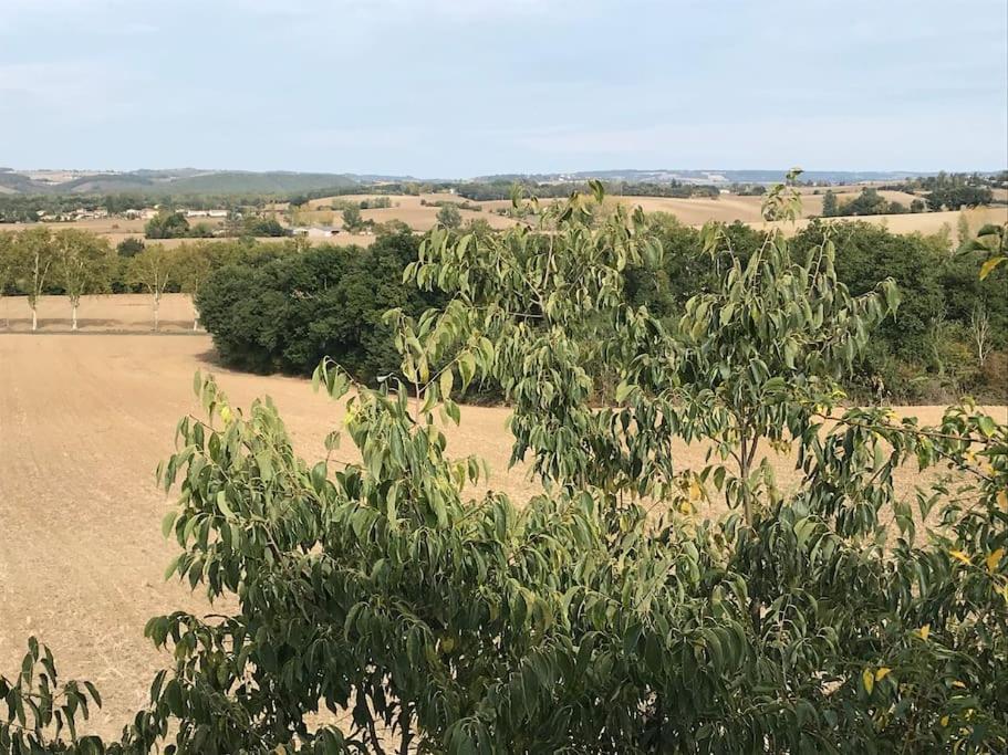 Appartement Neuf & Ecologique A La Campagne Marzens Bagian luar foto
