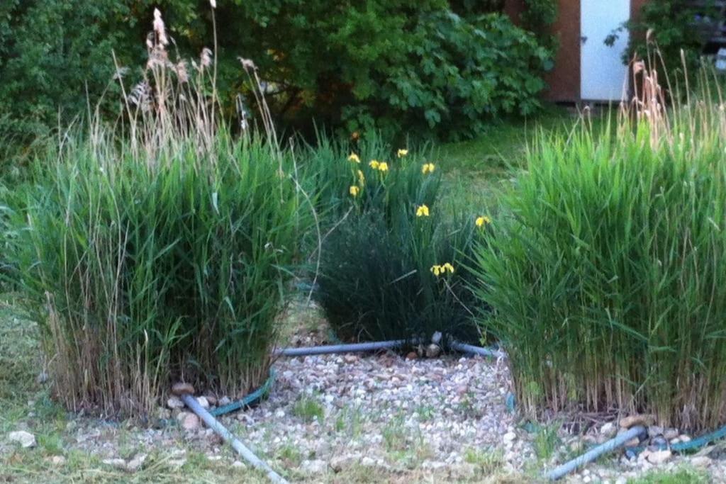 Appartement Neuf & Ecologique A La Campagne Marzens Bagian luar foto